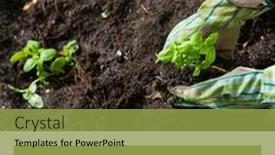  Presentation with community - Slides with composition-of-community-garden-week background and a  colored foreground