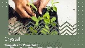  Presentation with community - PPT theme consisting of composition-of-community-garden-week background and a gray colored foreground