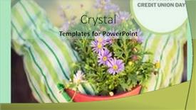  Presentation with credit union - Presentation theme having composition-of-credit-union-day background and a  colored foreground
