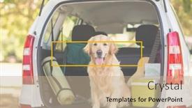  Presentation with car design - PPT theme having composition-of-dog-sitting background and a coral colored foreground