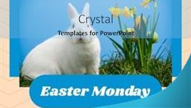  Presentation with rabbit - 