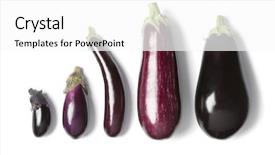  Presentation with eggplant - Beautiful presentation theme featuring composition of eggplants on white backdrop and a white colored foreground