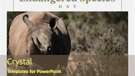  Presentation with animals nature - Slide set enhanced with composition-of-endangered-species-day background and a  colored foreground