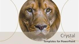  Presentation with animals nature - PPT theme featuring composition-of-endangered-species-day background and a  colored foreground