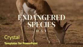  Presentation with animals nature - Presentation theme consisting of composition-of-endangered-species-day background and a tawny brown colored foreground