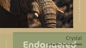  Presentation with animals nature - Presentation design having composition-of-endangered-species-day background and a mint green colored foreground