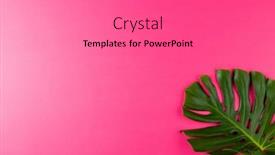 Presentation with pink retail - PPT theme enhanced with composition-of-green-lush-leaves background and a gray colored foreground