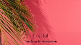  Presentation with pink retail - Theme with composition-of-green-lush-leaves background and a coral colored foreground