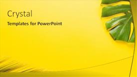  Presentation with friday - Presentation theme having composition-of-green-lush-leaves background and a white colored foreground