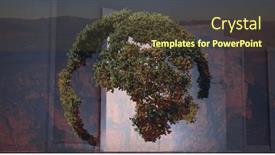  Presentation with growing - Theme featuring composition-of-growing-forest background and a tawny brown colored foreground