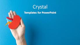  Presentation with science kidney - Presentation with composition-of-hand-holding-kidney background and a gray colored foreground