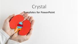  Presentation with kidneys - Presentation design featuring composition-of-hands-holding-kidneys background and a white colored foreground