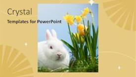  Presentation with happy image - PPT layouts featuring composition-of-happy-easter-sunday background and a yellow colored foreground