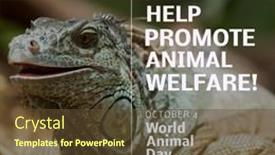  Presentation with welfare - Presentation with composition-of-help-promote-animal background and a tawny brown colored foreground