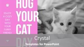  Presentation with hug - Slides consisting of composition-of-hug-your-cat background and a gray colored foreground
