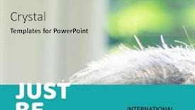  Presentation with happiness - Slides featuring composition-of-international-day background and a soft green colored foreground