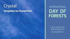 Presentation with forests - Slides with composition-of-international-day background and a teal colored foreground