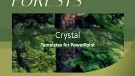  Presentation with international - Theme with composition-of-international-day background and a tawny brown colored foreground