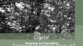  Presentation with international - Slide set with composition-of-international-day background and a gray colored foreground