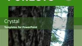  Presentation with international - Slide deck with composition-of-international-day background and a tawny brown colored foreground