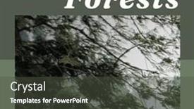  Presentation with international - Slide set consisting of composition-of-international-day background and a dark gray colored foreground