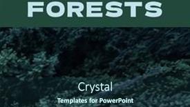 Presentation with forests - 