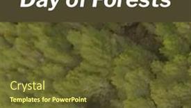  Presentation with forests - 