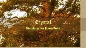  Presentation with forests - 