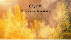  Presentation with light - Presentation theme consisting of composition-of-light-spots-over background and a  colored foreground