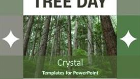  Presentation with celebration - 