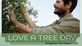  Presentation with celebration - Presentation featuring composition-of-love-a-tree background and a seafoam green colored foreground