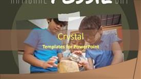  Presentation with fossil - Presentation design enhanced with composition-of-national-fossil-day background and a  colored foreground