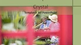  Presentation with gardening - Presentation theme having composition-of-national-gardening-week background and a mint green colored foreground