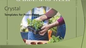  Presentation with gardening - PPT theme enhanced with composition-of-national-gardening-week background and a mint green colored foreground