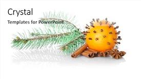  Presentation with branch - Theme enhanced with composition of orange spices and coniferous branch on white background background and a white colored foreground
