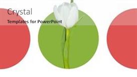  Presentation with white green - Slides with composition-of-parkinson-s-awareness background and a white colored foreground