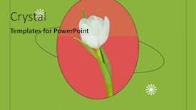  Presentation with white green - PPT theme enhanced with composition-of-parkinson-s-awareness background and a yellow colored foreground