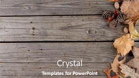  Presentation with pinecones - Slides consisting of composition-of-pinecones-and-autumn background and a gray colored foreground