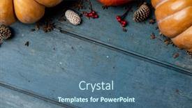  Presentation with pinecones - Presentation theme having composition-of-pumpkins-with-pinecones background and a ocean colored foreground