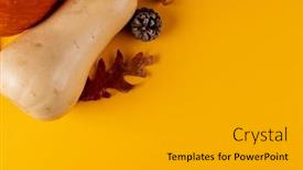 Presentation with autumn leaves - Presentation design consisting of composition-of-pumpkins-with-pinecones background and a light gray colored foreground