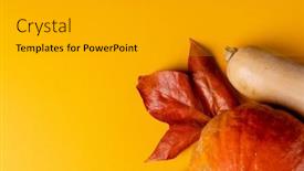  Presentation with autumn leaves - Slides consisting of composition-of-pumpkins-with-pinecones background and a light gray colored foreground