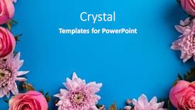  Presentation with blue rose - Presentation theme having composition-of-rose-wreath background and a gray colored foreground