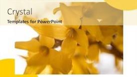  Presentation with awareness - Presentation enhanced with composition-of-sarcoma-awareness-month background and a blonde colored foreground