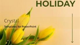  Presentation with tulips - PPT theme consisting of composition-of-spring-bank-holiday background and a yellow colored foreground