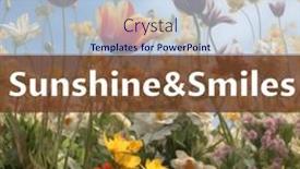  Presentation with bank - 