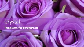  Presentation with purple spring - Presentation design enhanced with composition-of-spring-bank-holiday background and a purple colored foreground