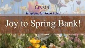  Presentation with bank - 