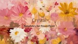  Presentation with bank - 