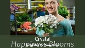  Presentation with bank - 