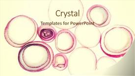  Presentation with red onion - Colorful slide set enhanced with composition of tasty red onion rings backdrop and a cream colored foreground